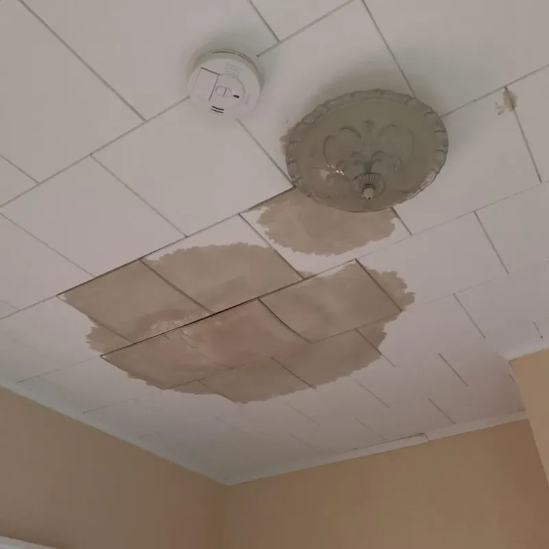 Ceiling Water Damage Repair in Pink, OK