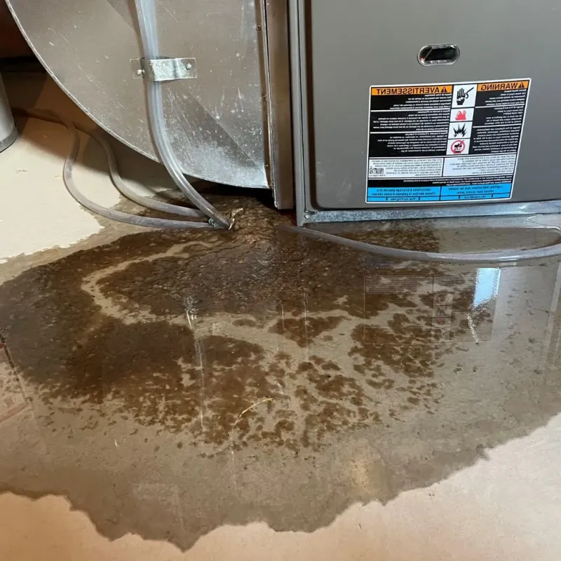 Pipe Burst and Leak Restoration in Pink, OK