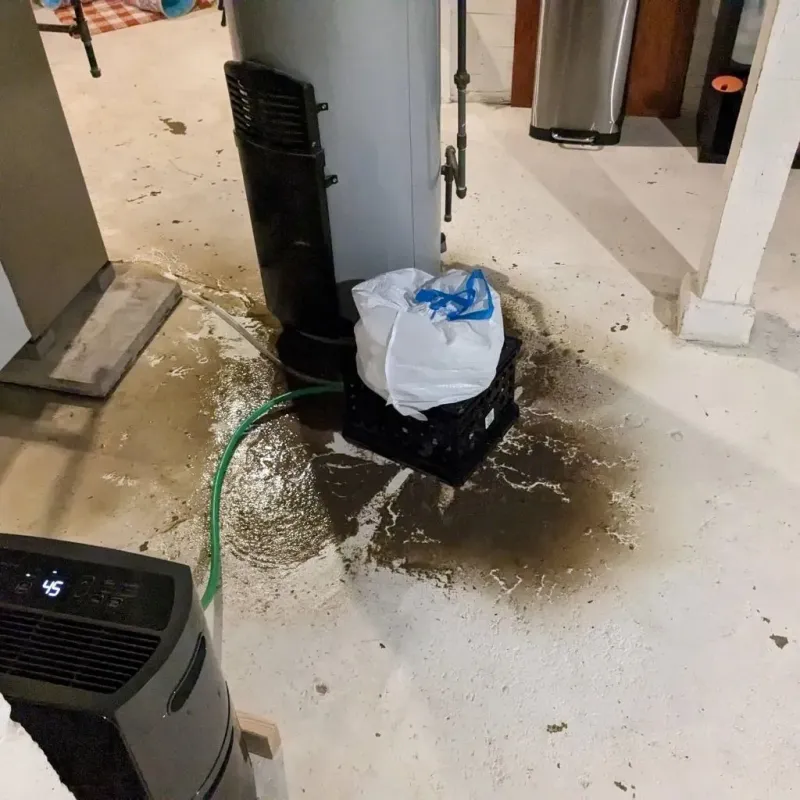 Sewage Backup Cleanup Service in Pink, OK